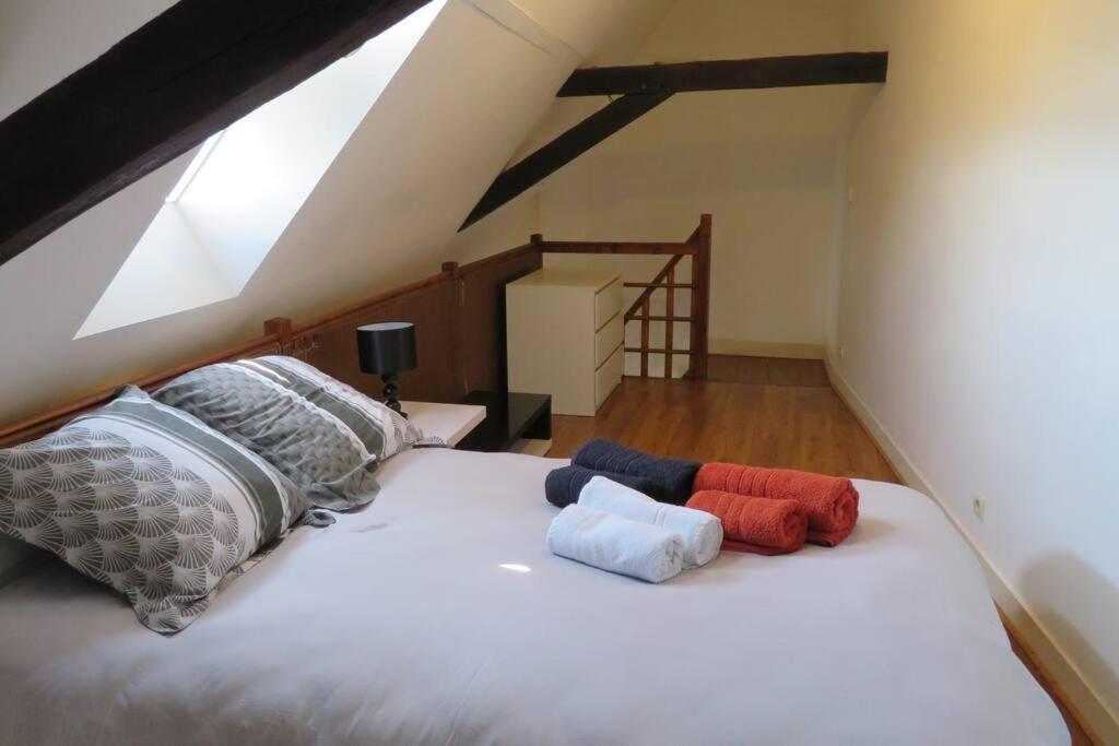 Loft De 53 M2 Centre Ville Blois,Tv ภายนอก รูปภาพ